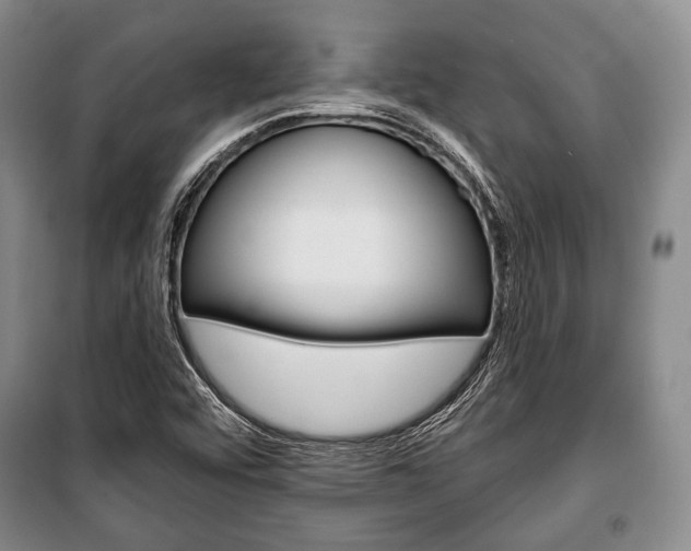 X0000101141456200806270725
