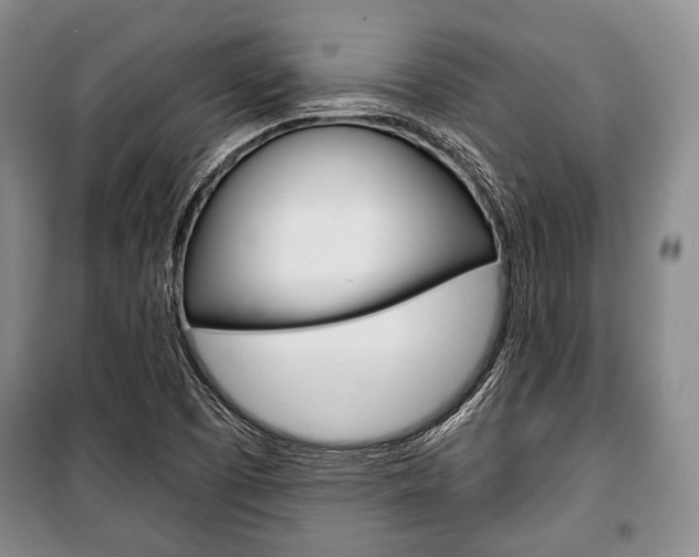 X0000101141457200806270725