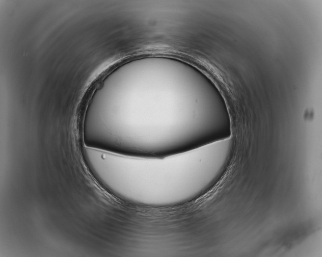 X0000101141458200806270725