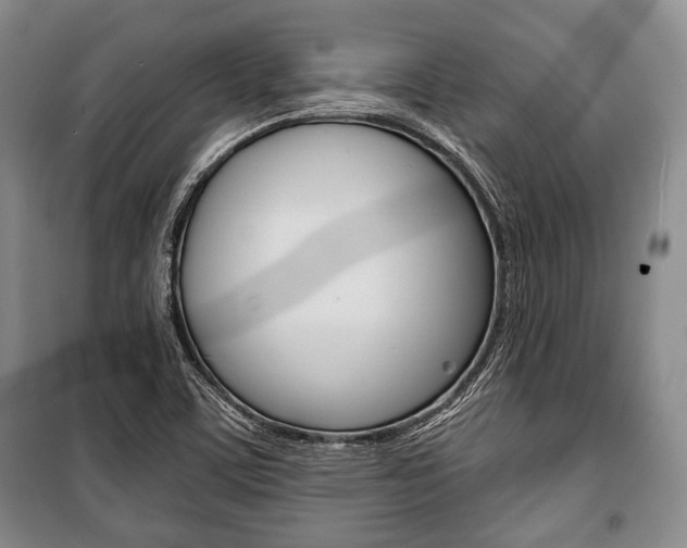 X0000101141459200806270725