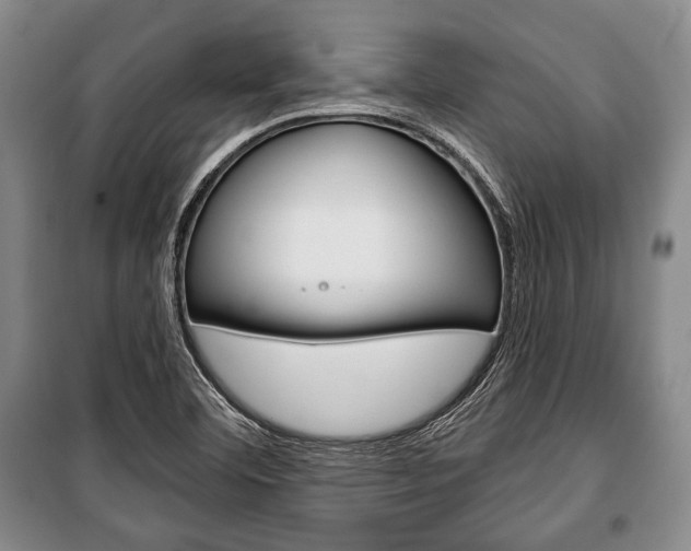X0000101141460200806270725