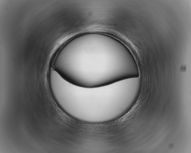 X0000101141461200806270725