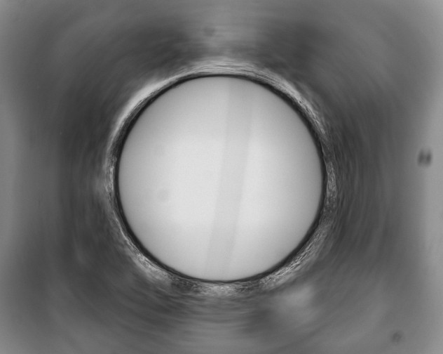 X0000101141462200806270725