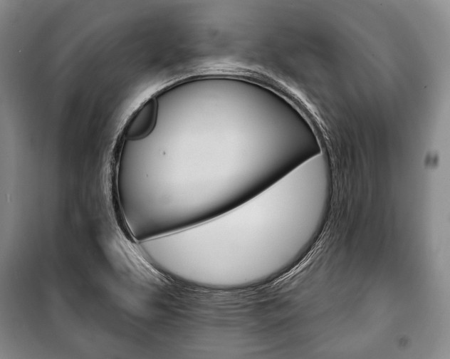 X0000101141463200806270725
