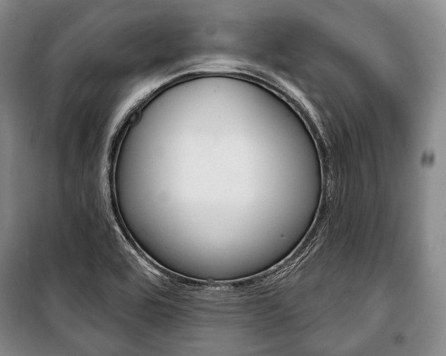 X0000101141464200806270725