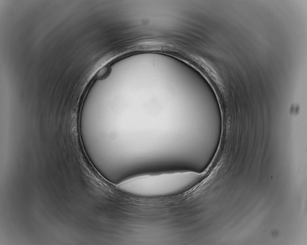 X0000101141465200806270725