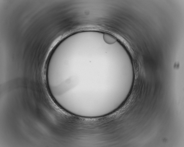 X0000101141466200806270725