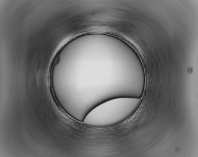 X0000101141467200806270725