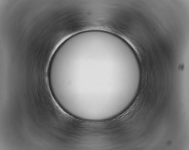 X0000101141468200806270725