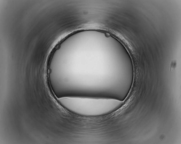 X0000101141469200806270725