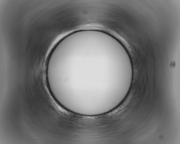 X0000101141470200806270725