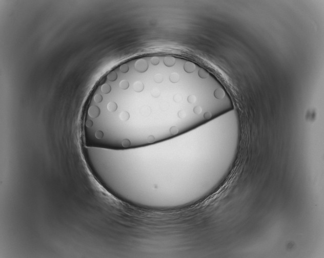X0000101141471200806270725