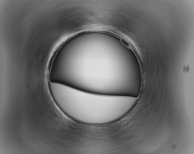 X0000101141472200806270725