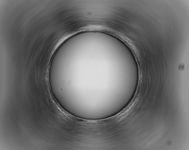 X0000101141473200806270725