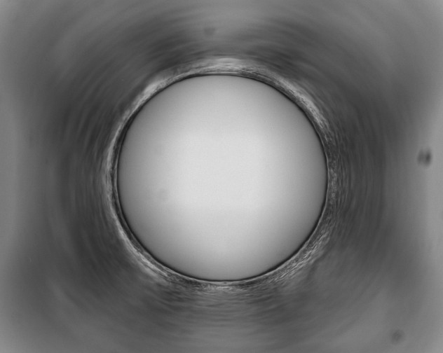 X0000101141475200806270725