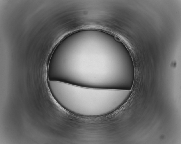 X0000101141476200806270725