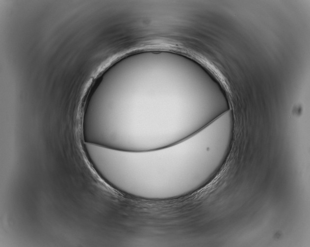 X0000101141477200806270725