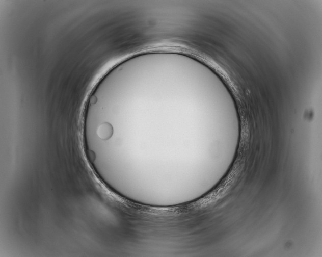 X0000101141478200806270725