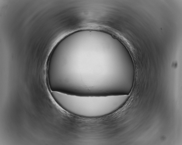 X0000101141479200806270725