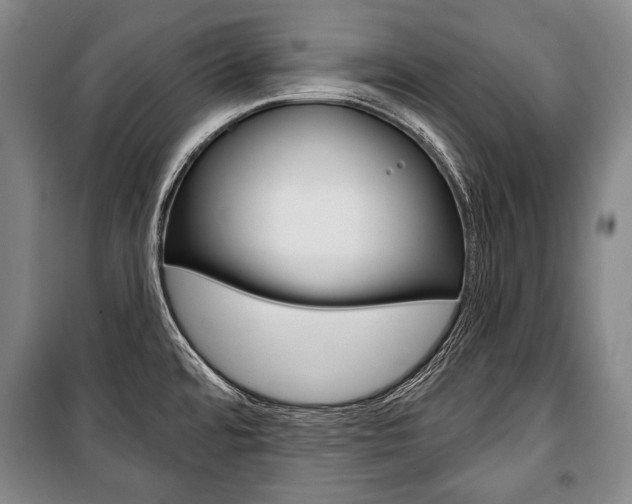 X0000101141480200806270725