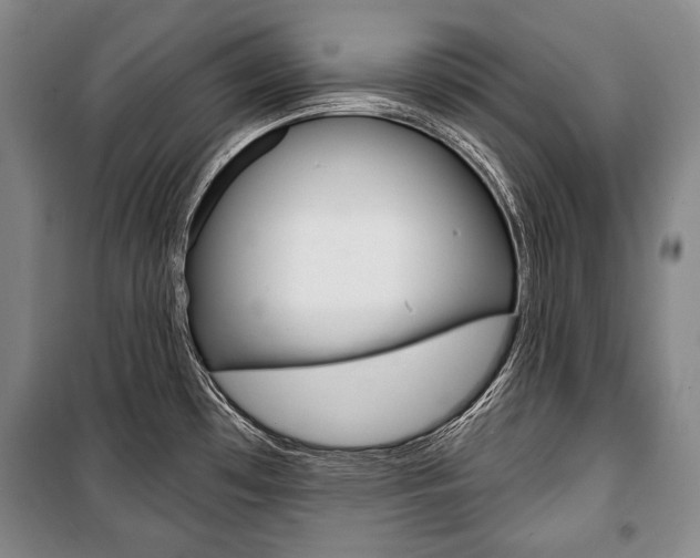X0000101141481200806270725