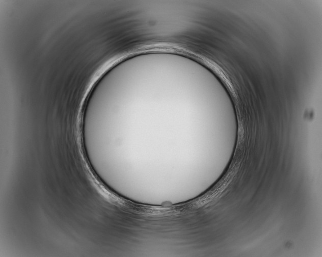 X0000101141482200806270725