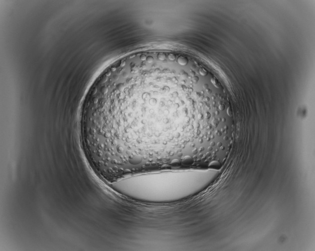 X0000101141483200806270725