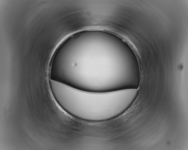X0000101141484200806270725
