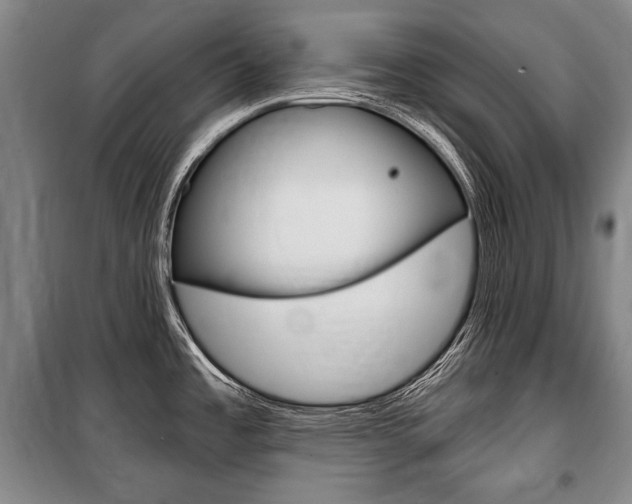 X0000101141485200806270724