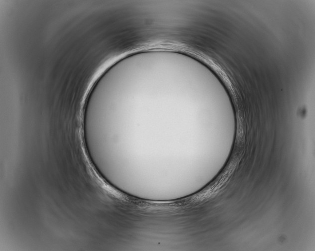 X0000101141486200806270724