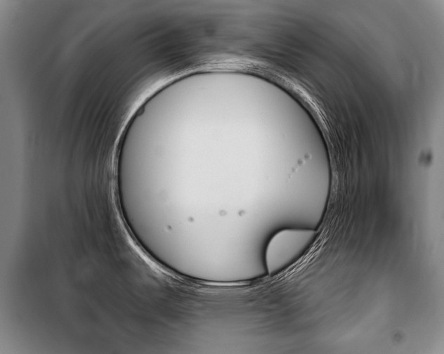 X0000101141487200806270724