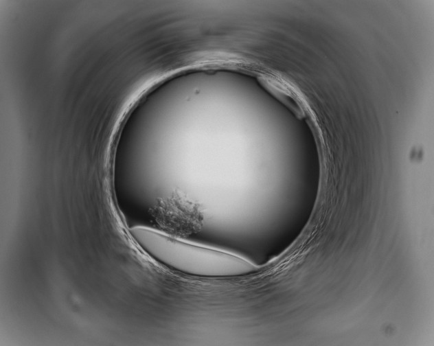 X0000101141488200806270724