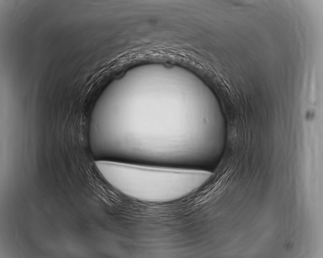 X0000101141490200806270724