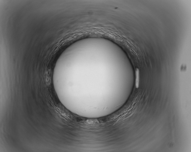 X0000101141491200806270724