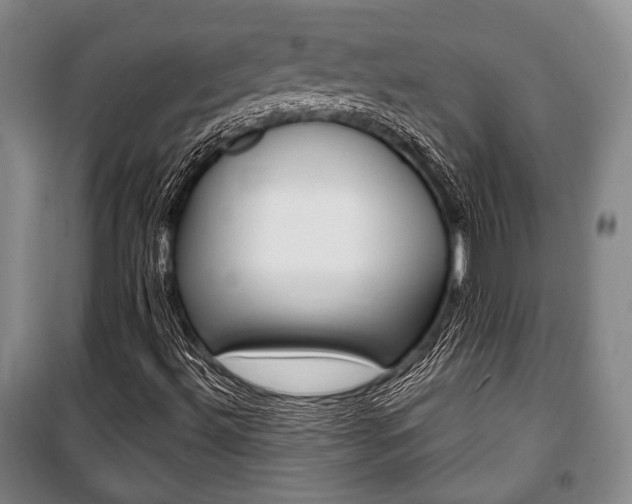 X0000101141492200806270724