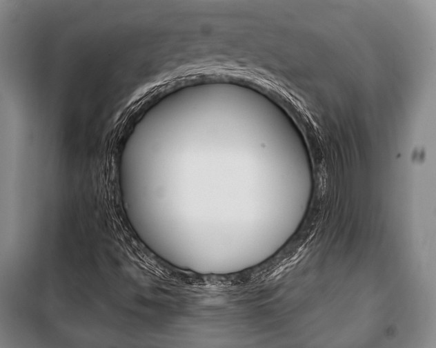 X0000101141494200806270724