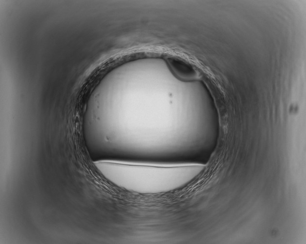 X0000101141495200806270724