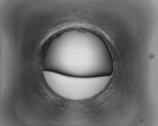 X0000101141496200806270724