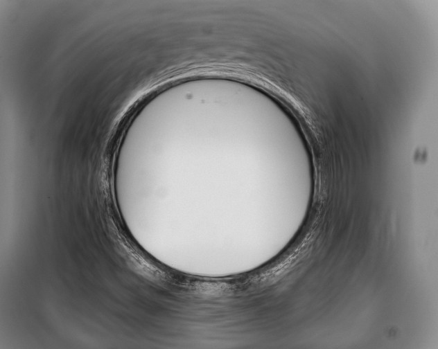 X0000101141498200806270724