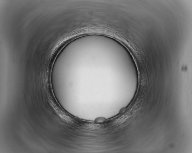 X0000101141499200806270724
