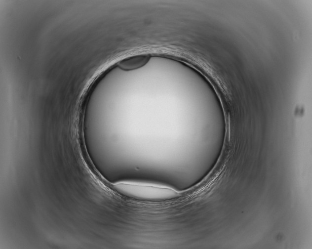 X0000101141500200806270724