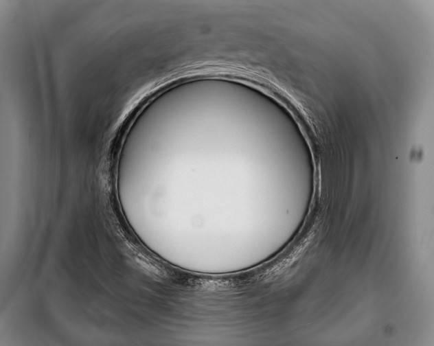 X0000101141501200806270724