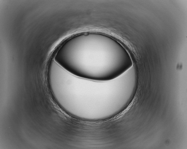 X0000101141502200806270724