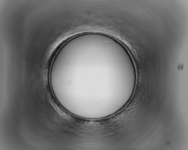 X0000101141503200806270724