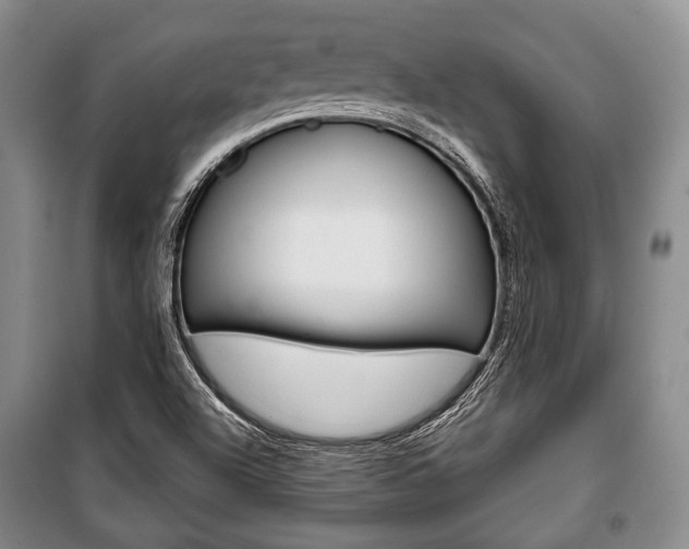 X0000101141504200806270724