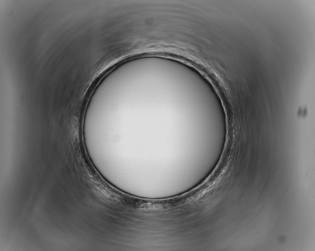 X0000101141505200806270724