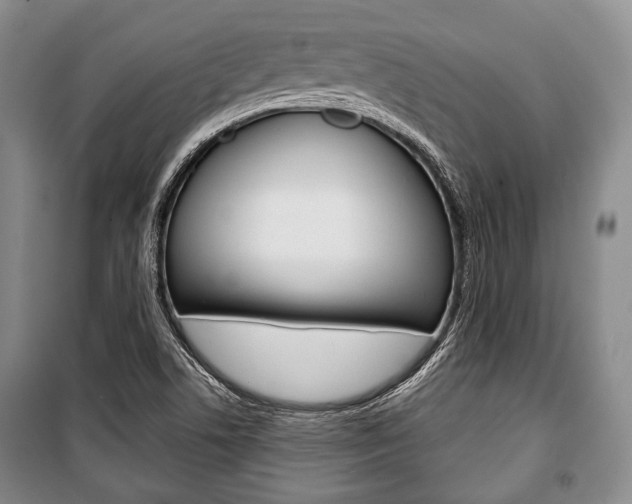 X0000101141506200806270724