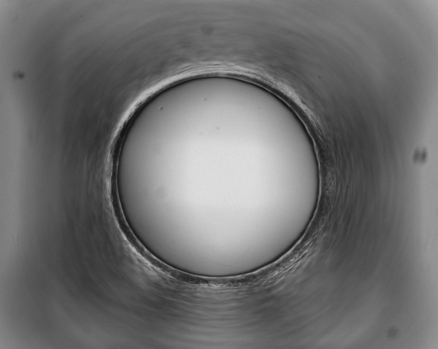 X0000101141508200806270724
