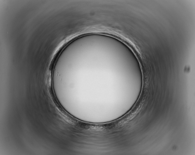 X0000101141509200806270724