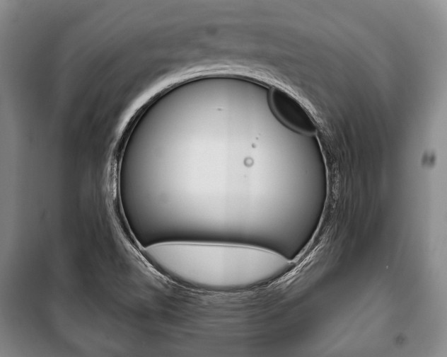 X0000101141510200806270724